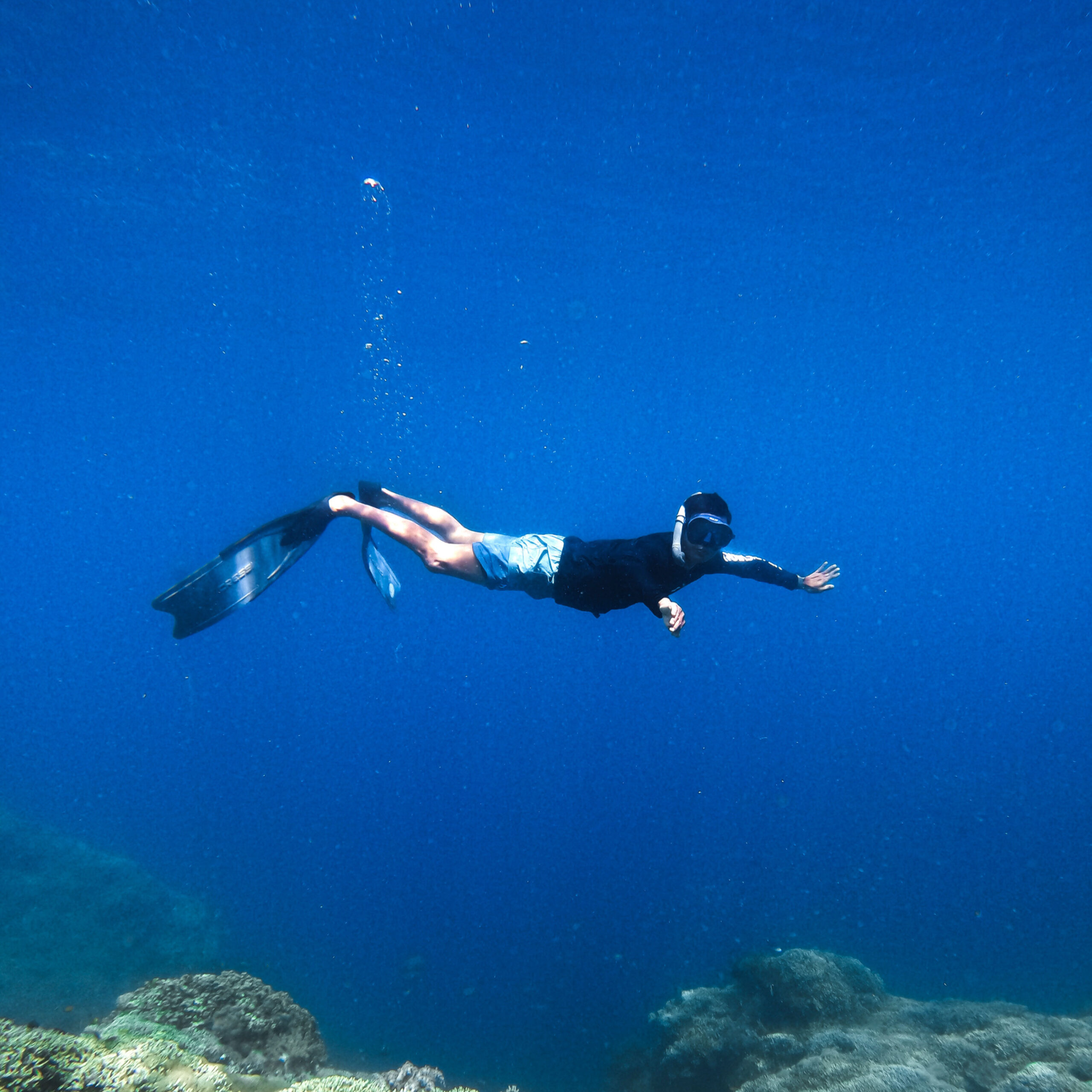 Eksplorasi Menakjubkan Keindahan Bawah Laut Pulau Menjangan Bali Barat Paket 4D3N - Holiday Banyuwangi